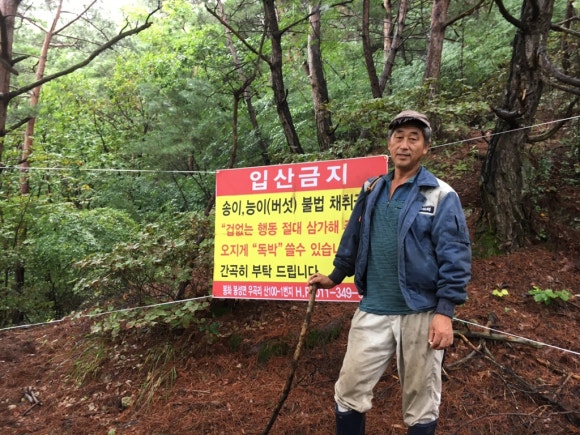 천하의곡괭이 이미지