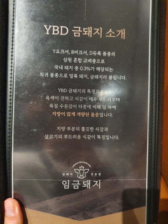 금돼지 이미지