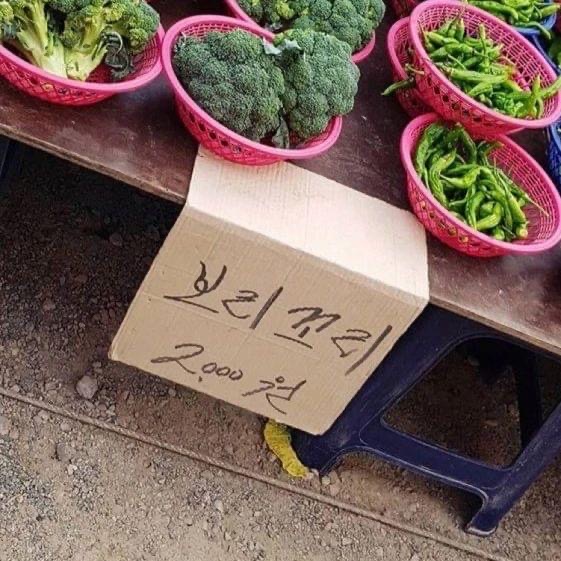 오오키 이미지
