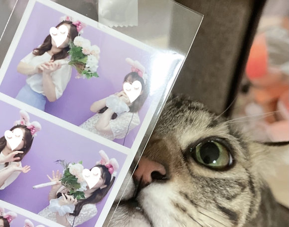 띵동플라워 이미지