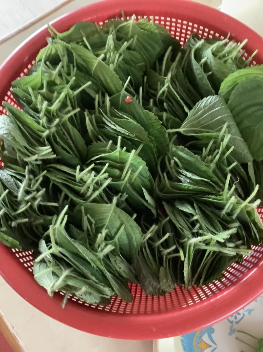 계절반찬 이미지