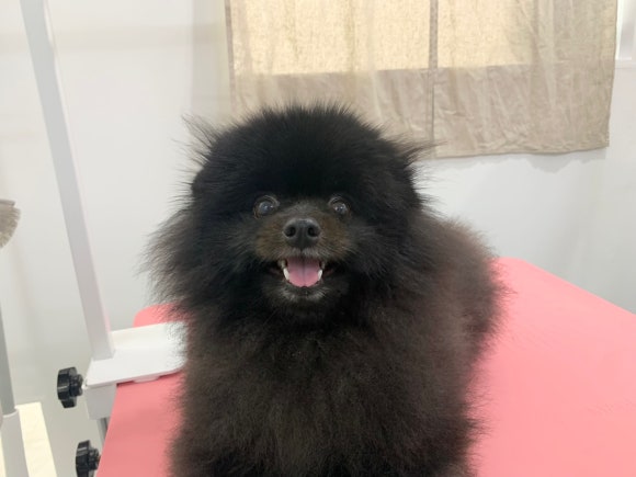 다소니헤어살롱 이미지