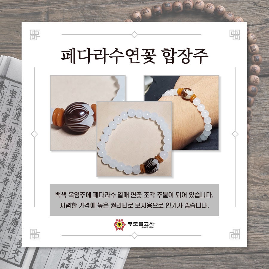 불심불교사 이미지