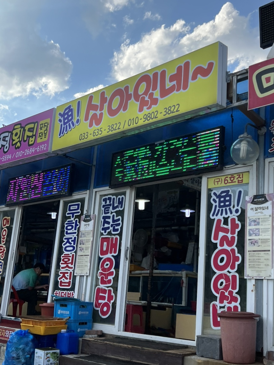어살아있네 이미지