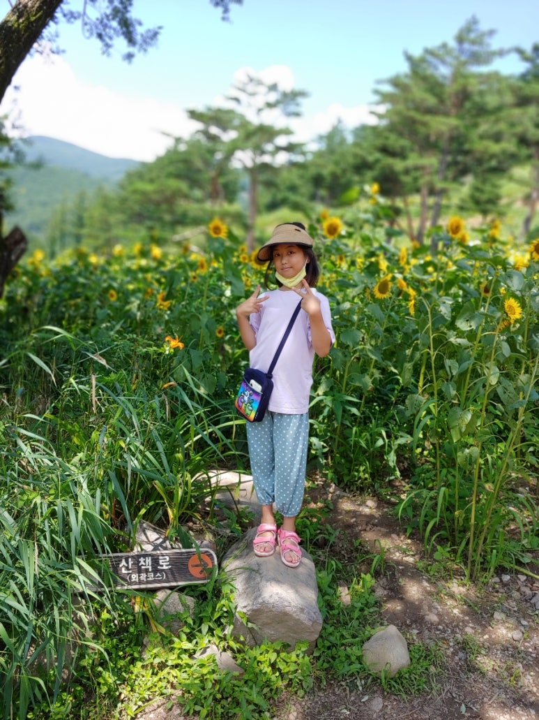 (주)해바라기 이미지