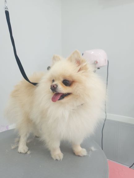 두루미컷 이미지