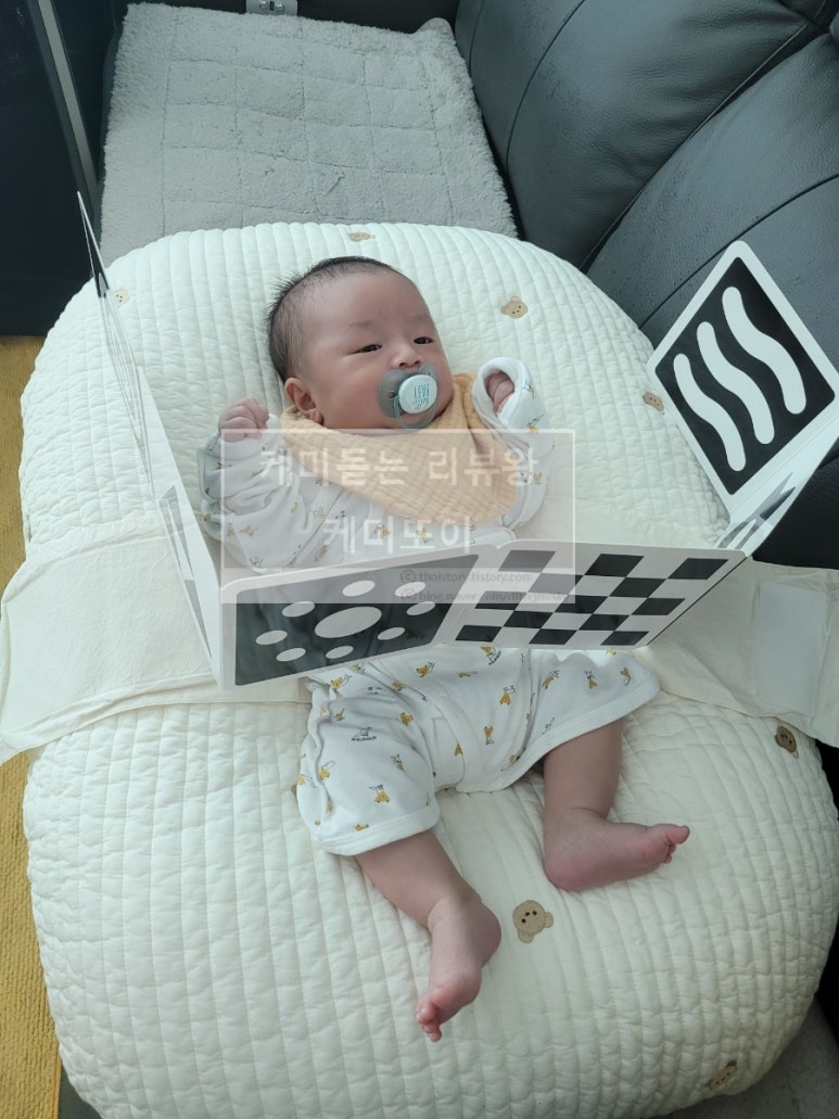 온초점 이미지