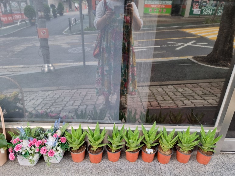 틸문 이미지