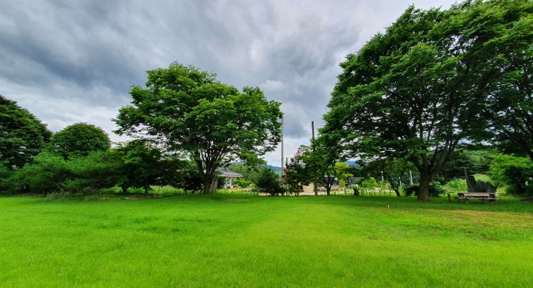 보성국민학교카페 이미지