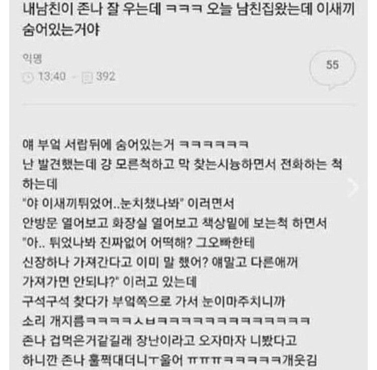 쇼우 이미지