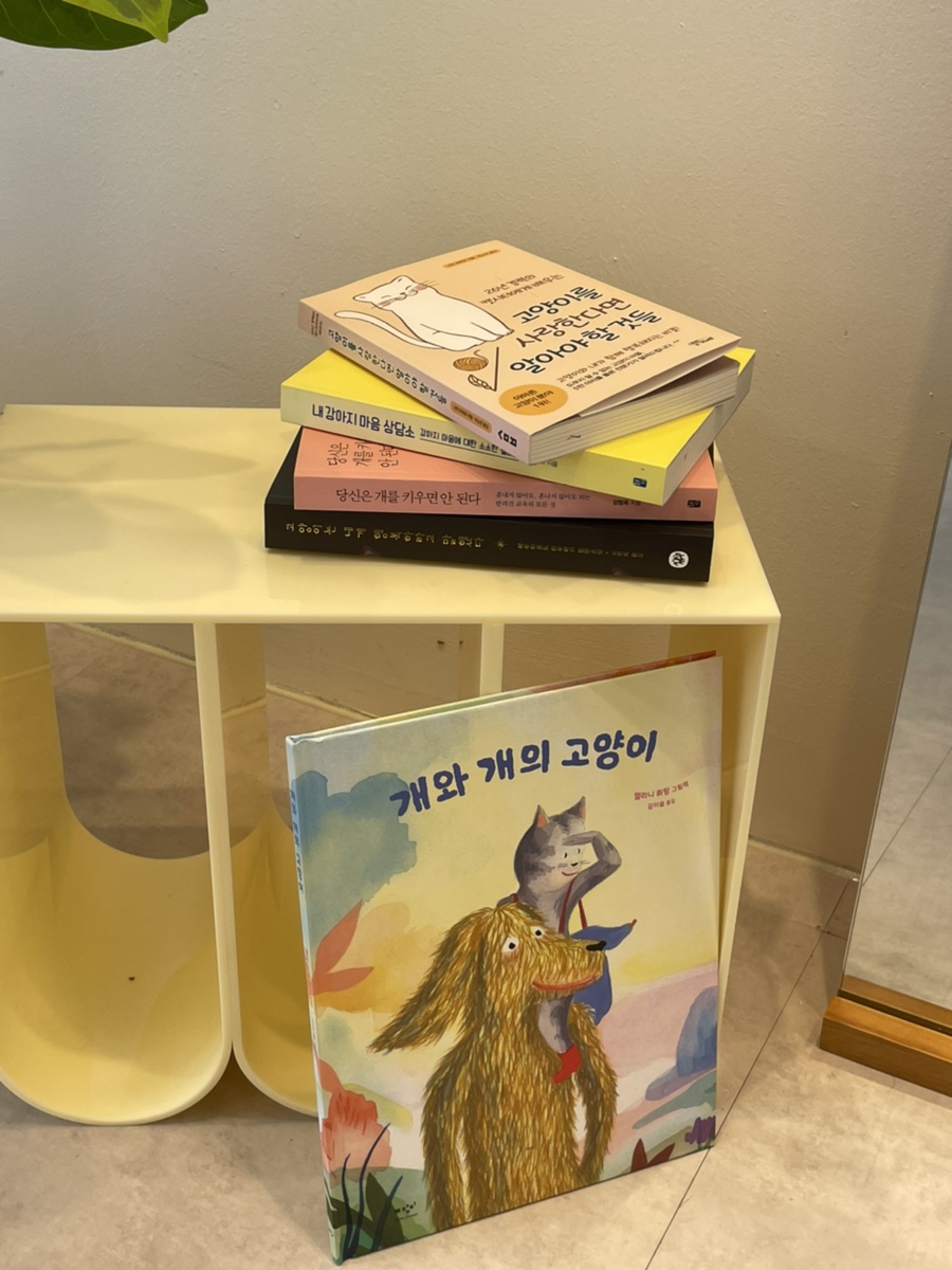 고양이잡화상점 이미지