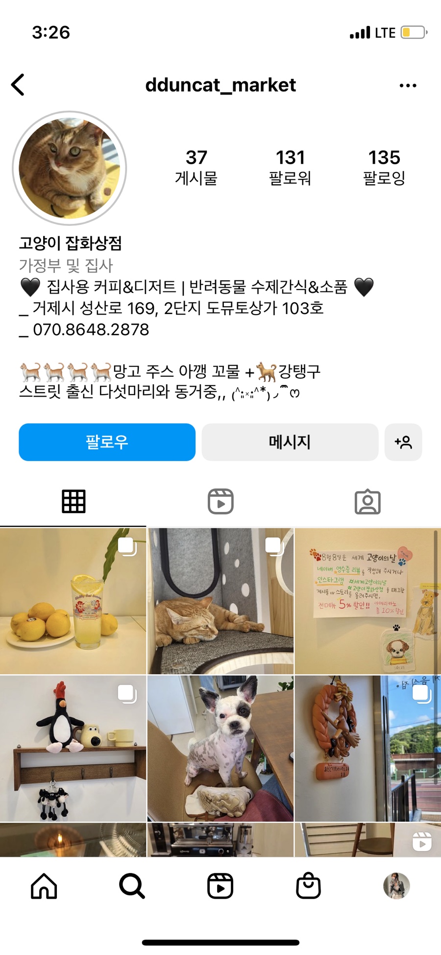 고양이잡화상점 이미지