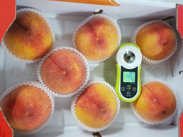 (주)골드브릭스 이미지