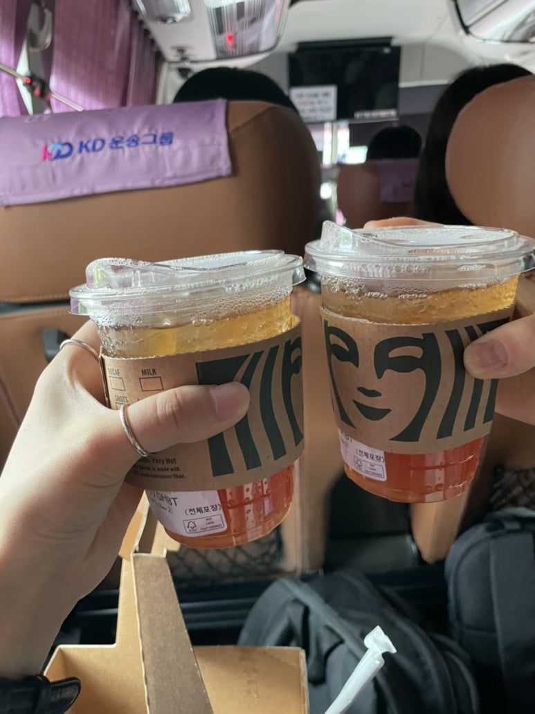 하하여행주 이미지
