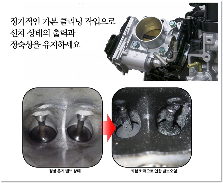 성수카닥터 이미지