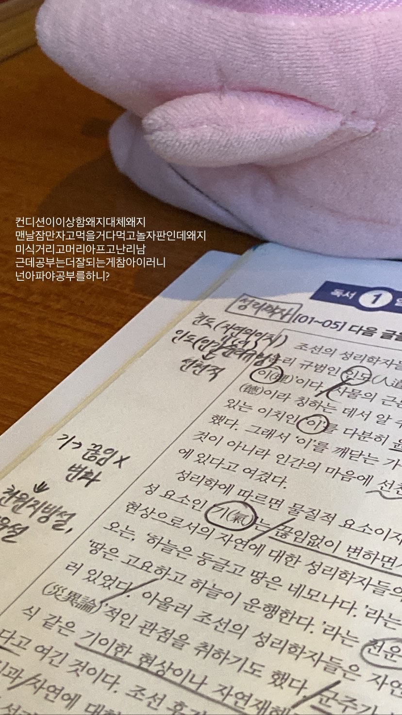 동경규동(대치은마사거리점) 이미지