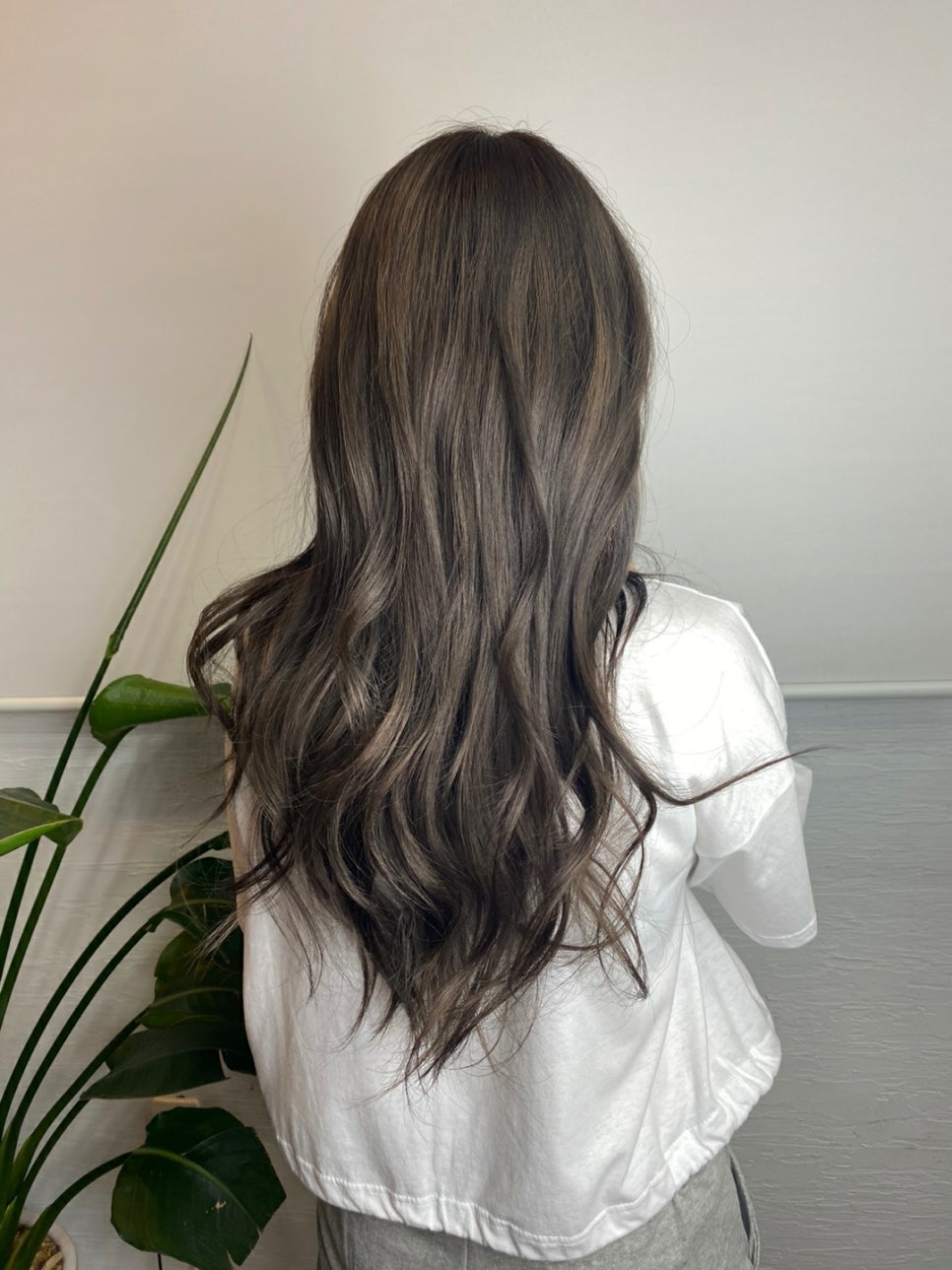 살롱드코라 이미지