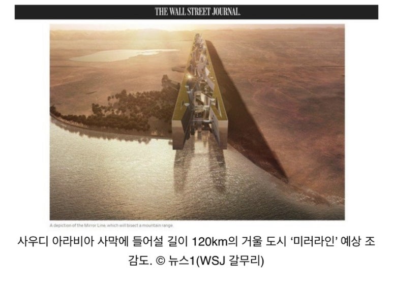 더라인 이미지