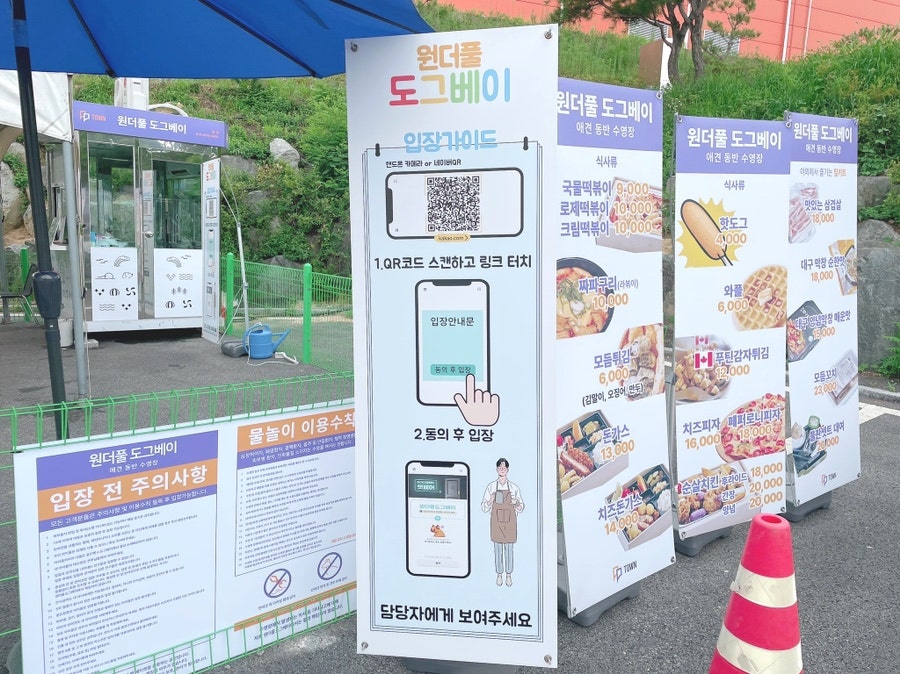 안성 애견 수영장, 워터파크급 시설과 깨끗한 물 경험 — 사진 3