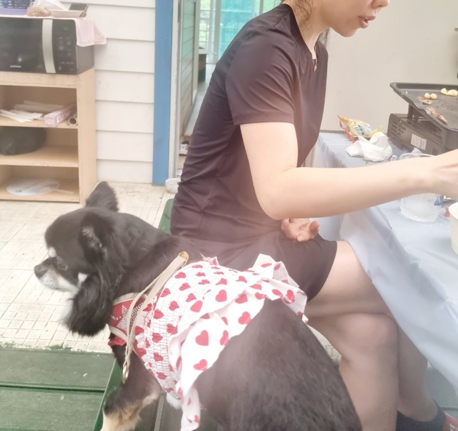 그림앤정원 이미지