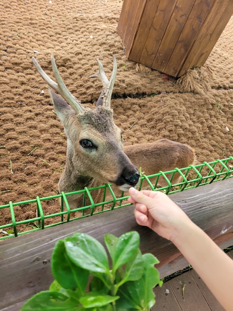 용수산회 이미지