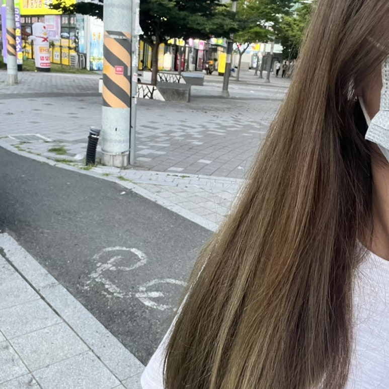 로슬린헤어 이미지