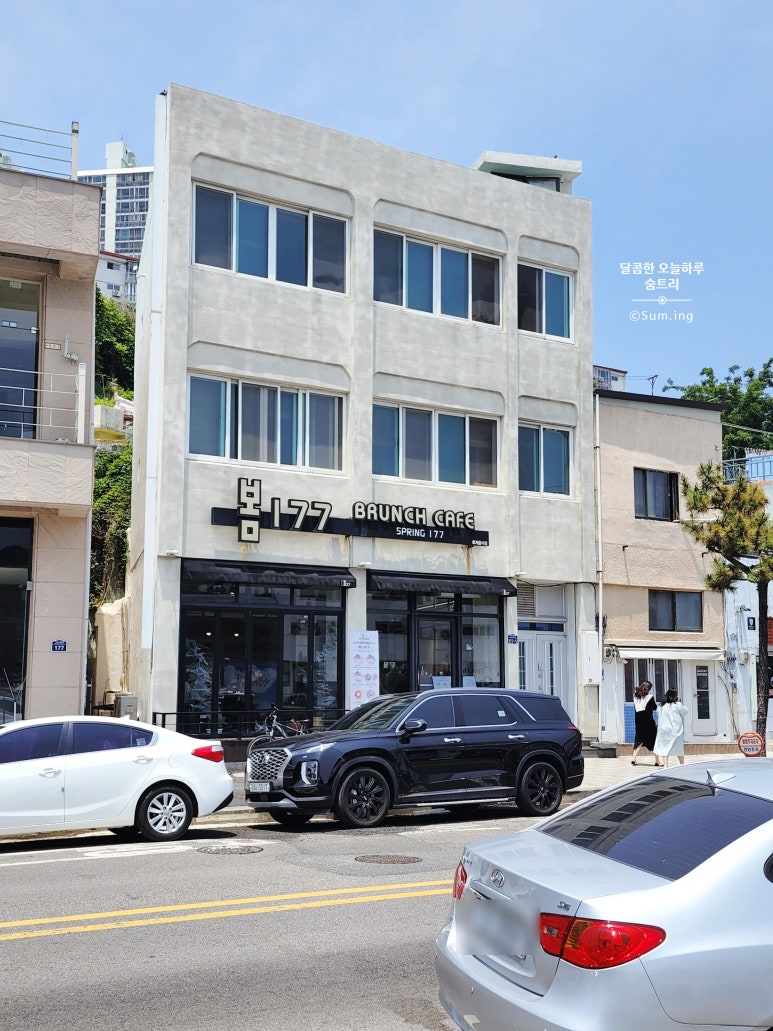 봄177 이미지