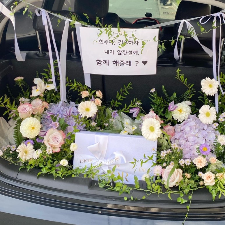 오니플레르 이미지