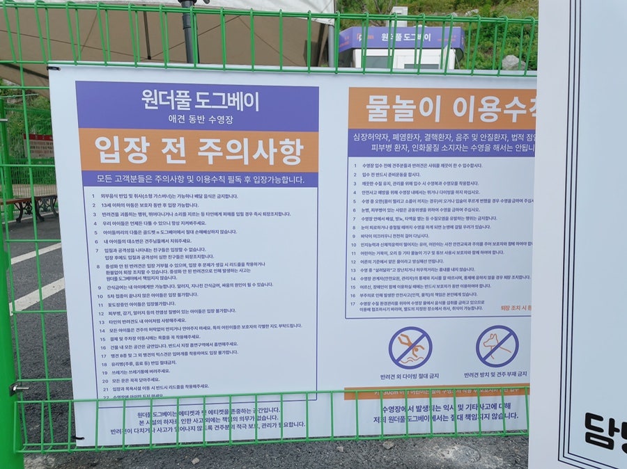 안성 애견 수영장, 워터파크급 시설과 깨끗한 물 경험 — 사진 5
