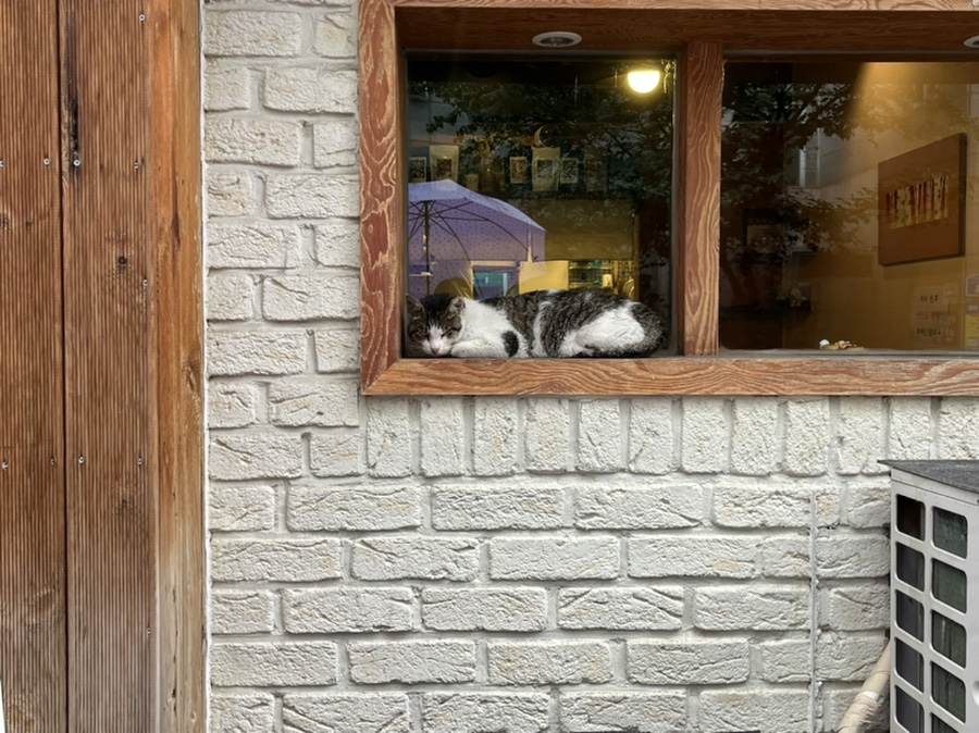 브레드10 이미지