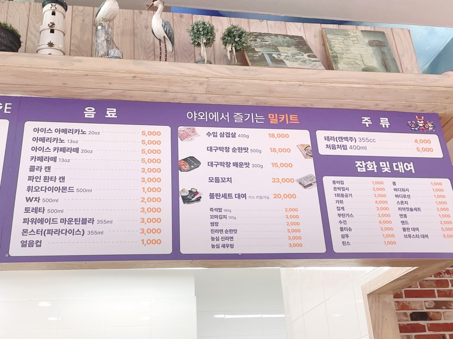 안성 애견 수영장, 워터파크급 시설과 깨끗한 물 경험 — 사진 14
