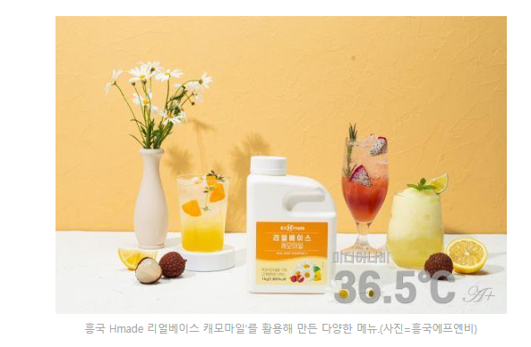 에프엔비미디어 이미지