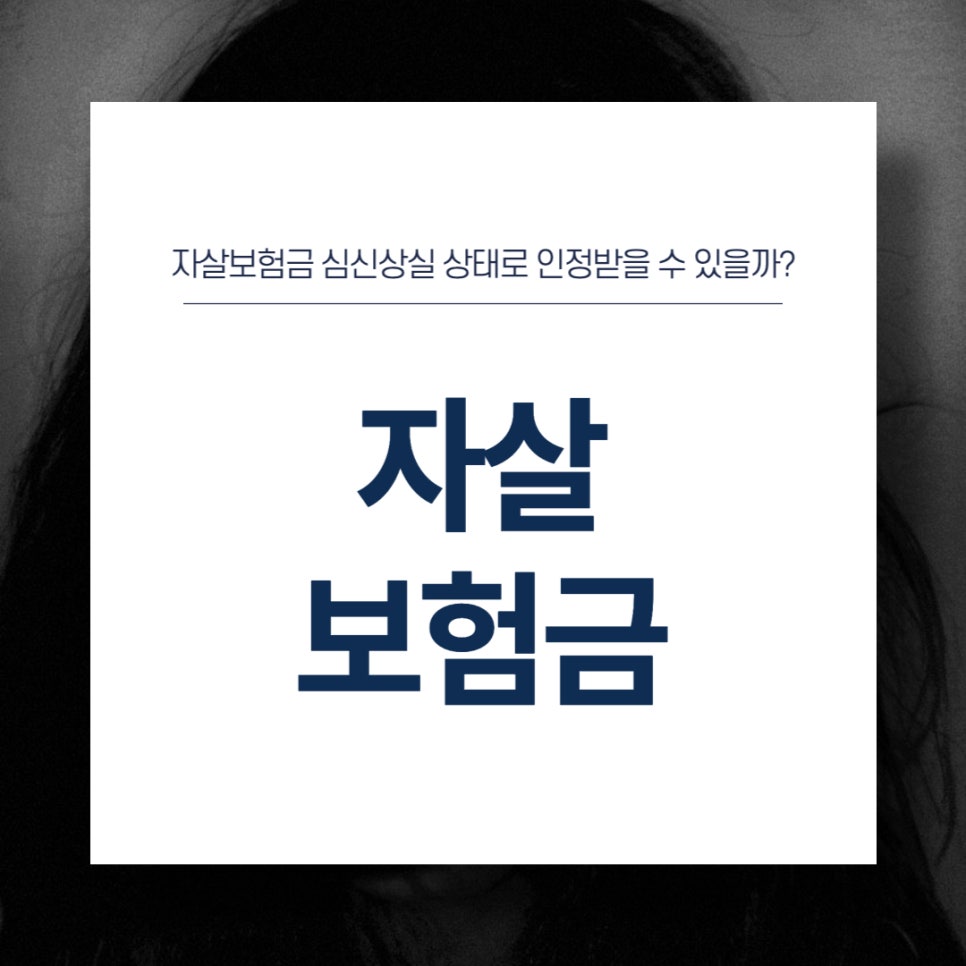 법무법인모악부안분사무소 이미지