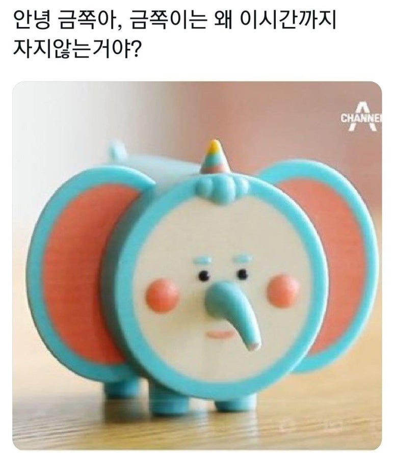 이즘포토스튜디오 이미지