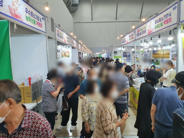 새벽전람 이미지