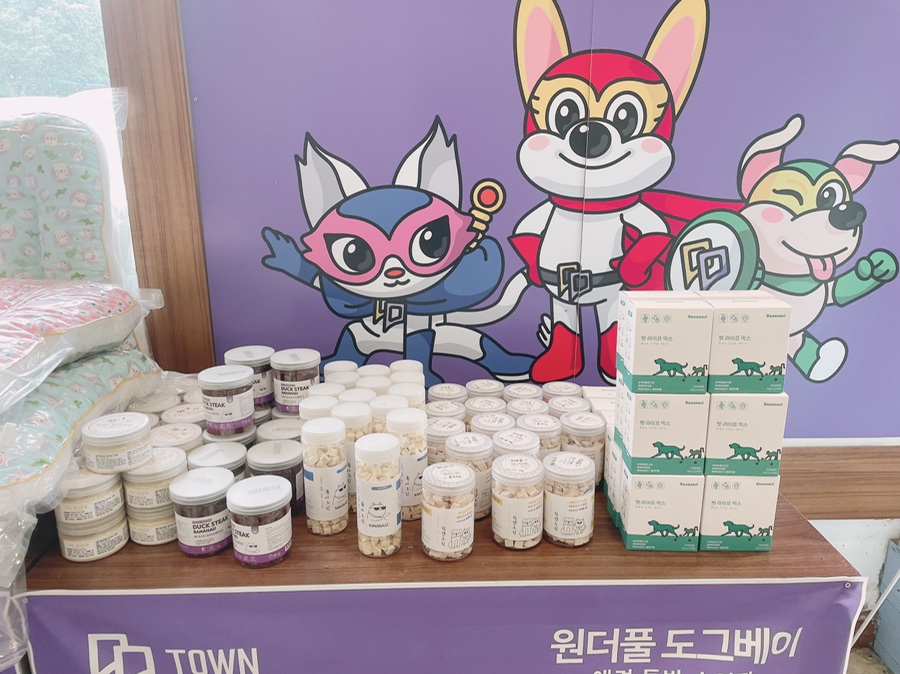 안성 애견 수영장, 워터파크급 시설과 깨끗한 물 경험 — 사진 16