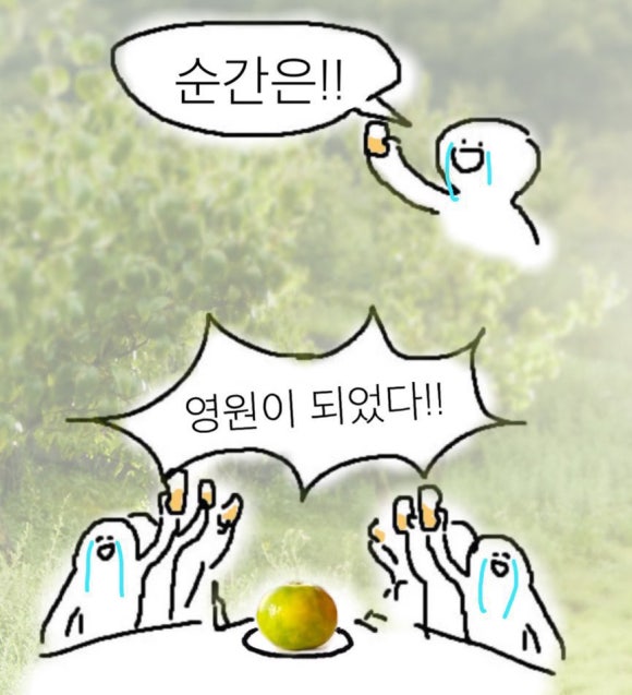 라잇요라이프 이미지
