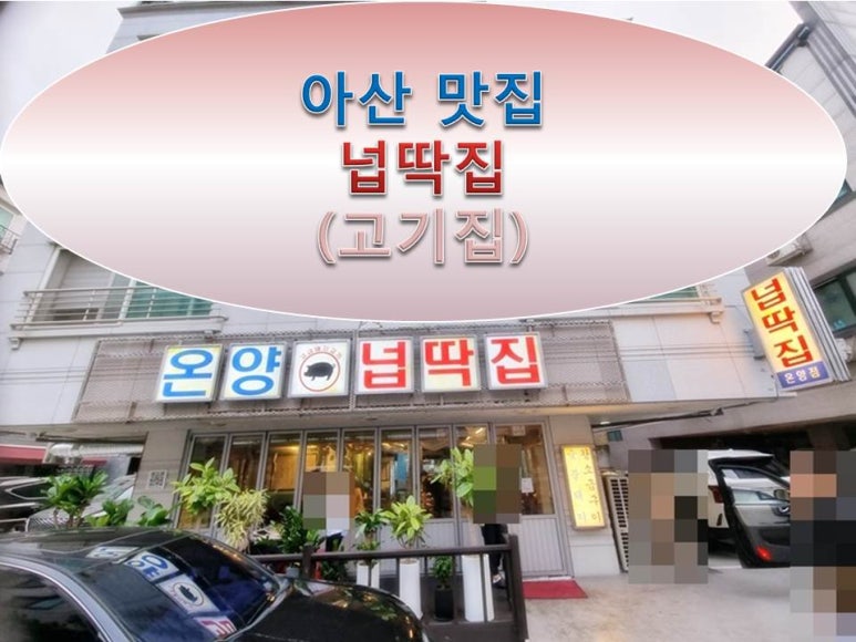 온양넙딱집 이미지