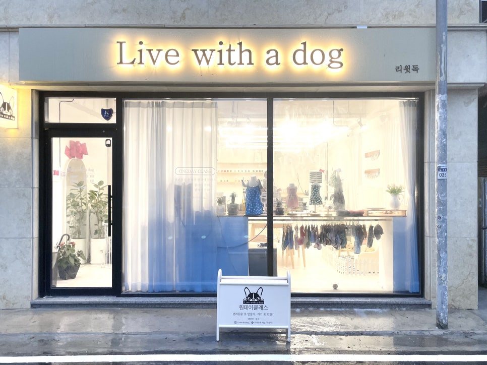 리윗독 이미지