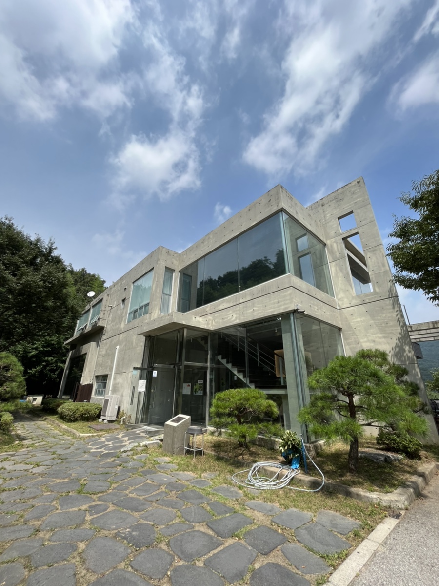 베이커달리아 이미지