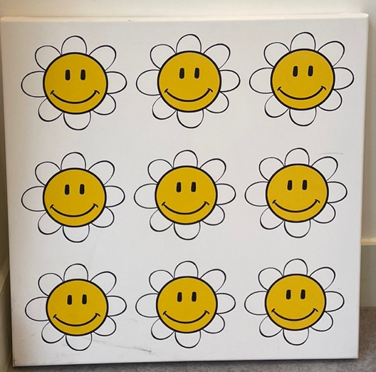 스마일데이지(Smile Daisy) 이미지