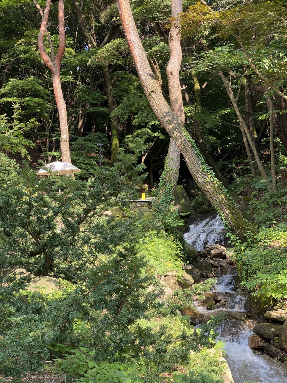 작은 계곡 이미지