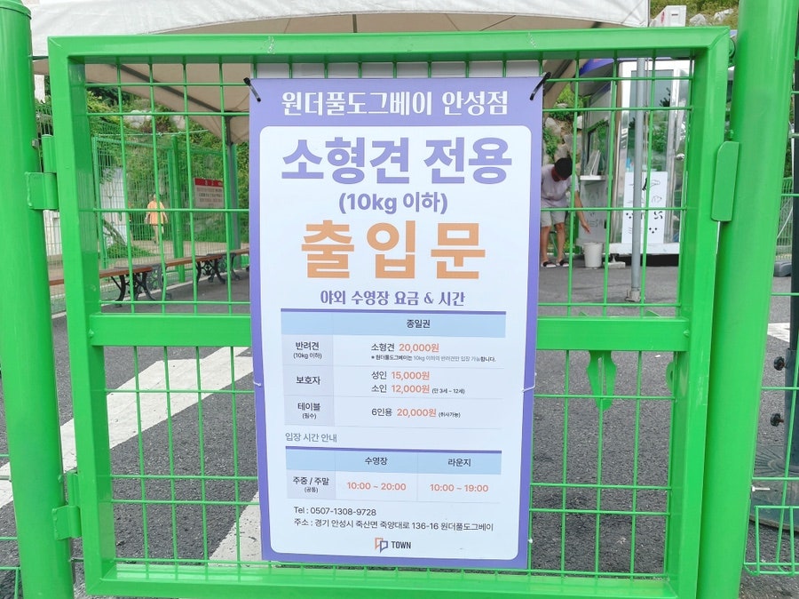 안성 애견 수영장, 워터파크급 시설과 깨끗한 물 경험 — 사진 4