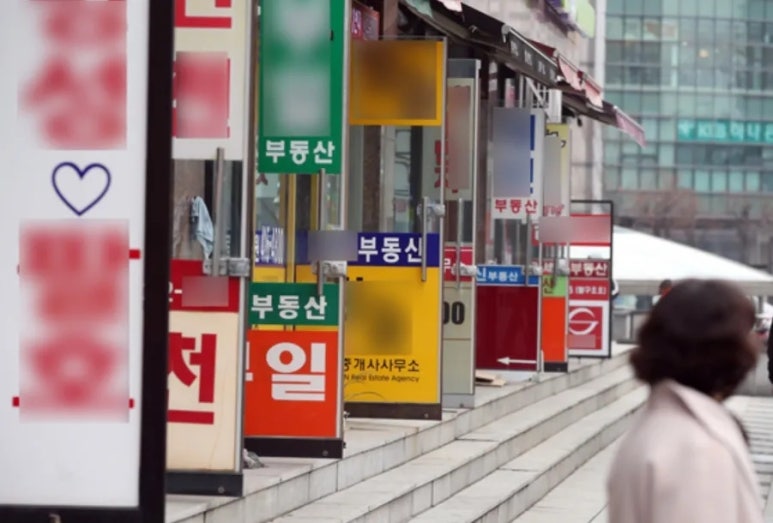 아리누이 이미지
