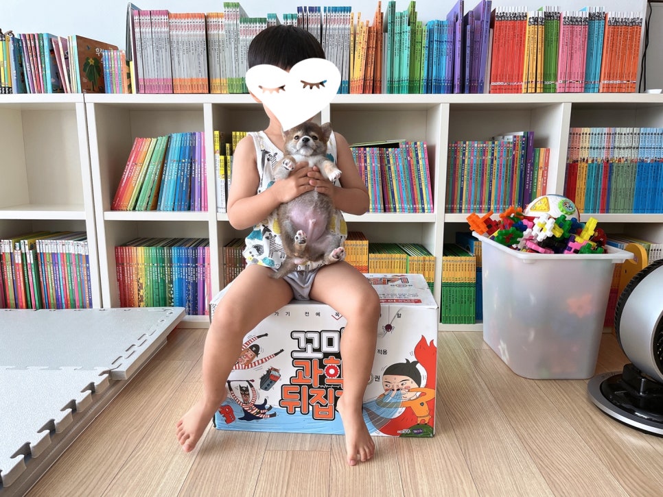 꼬마사랑어린이서점 이미지