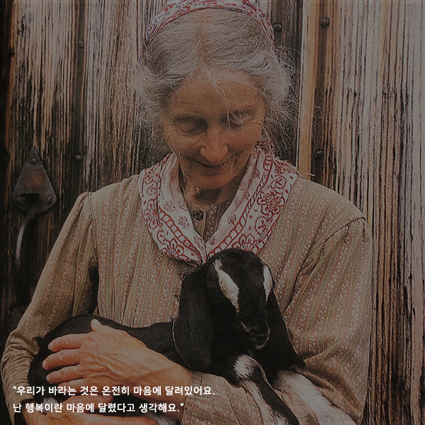 해피슬로우 이미지