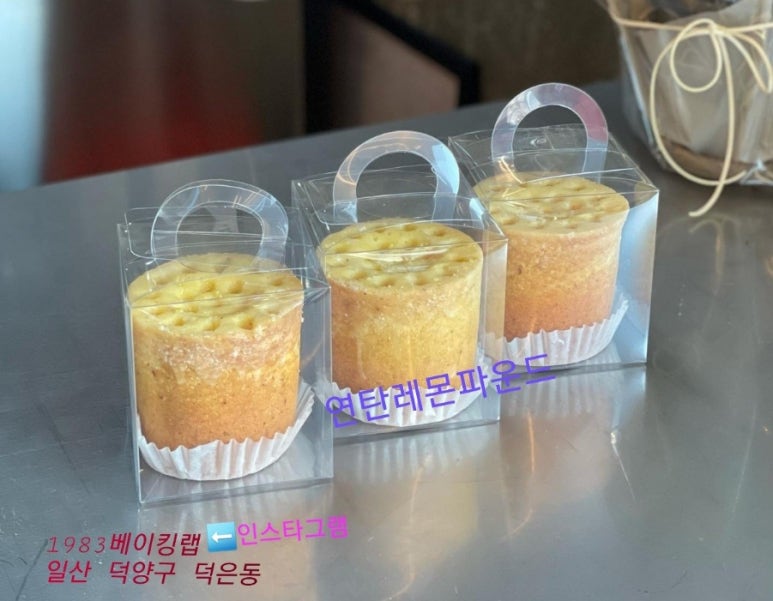 일구팔삼 이미지