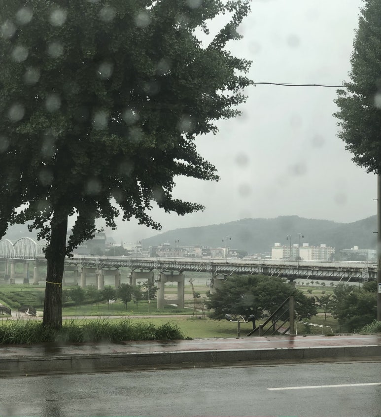 스테이선화 이미지