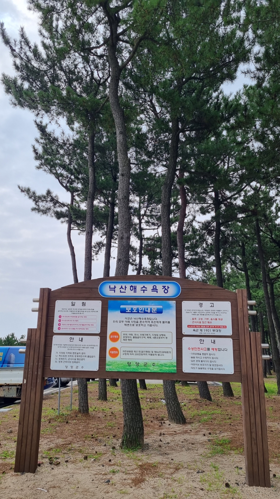 송림플라워 이미지