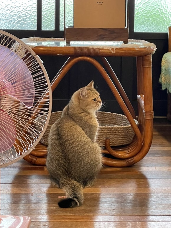 카페 안온 이미지